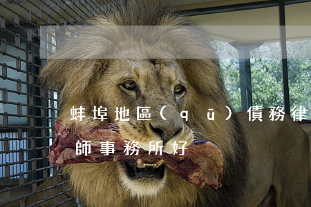 蚌埠地區(qū)債務律師選誰(蚌埠哪個律師事務所好)
