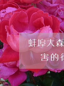 蚌埠大森律師事務(wù)所怎么樣(蚌埠最厲害的律師)