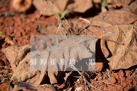 蚌埠崔淮玲離婚