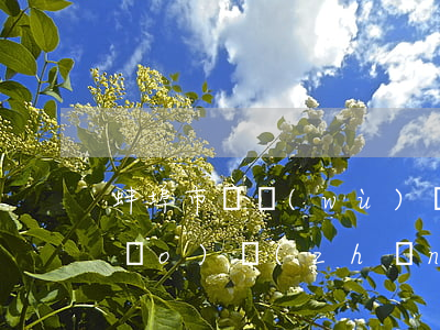 蚌埠市債務(wù)糾紛律師費用標(biāo)準(zhǔn)問題-蚌埠市債務(wù)糾紛律師費用標(biāo)準(zhǔn)問題解決辦法