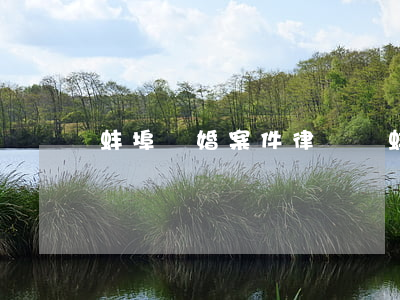 蚌埠離婚案件律師費(蚌埠離婚律師排名榜)