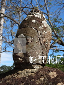 蛇哥北辰鬧離婚(蛇哥colin和北辰離婚)