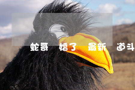 蛇哥離婚了嗎最新報道(斗魚科普蛇哥判刑)
