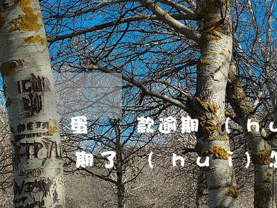 蛋殼貸款逾期會(huì)上征信嗎(蛋殼逾期了會(huì)怎么樣)