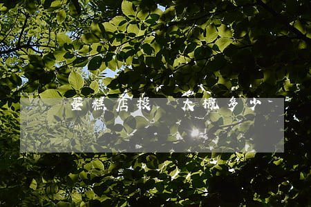 蛋糕店投資大概多少錢