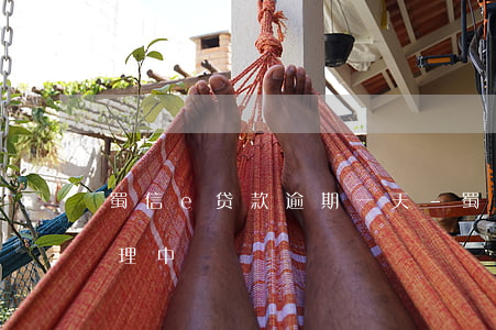 蜀信e贷款逾期一天-蜀信e贷款一直在处理中