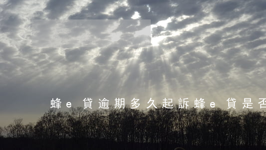 蜂e貸逾期多久起訴 蜂e貸是否上征信