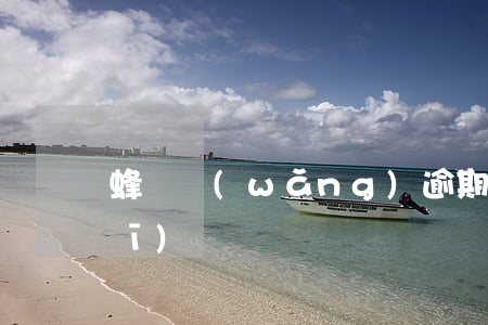 蜂貸網(wǎng)逾期，蜂蜂貸正規(guī)嗎