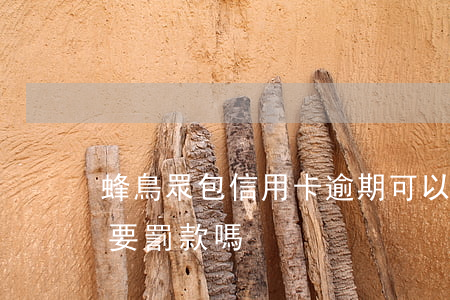 蜂鳥眾包信用卡逾期可以跑嘛 蜂鳥眾包遲到要罰款嗎