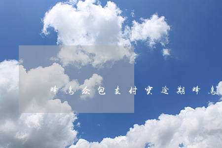 蜂鸟众包支付宝逾期(蜂鸟众包解绑支付宝)