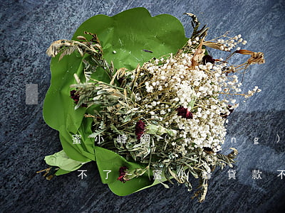 蜜小峰網(wǎng)貸到下午還款怎么還不了-蜜小蜂貸款不還會咋樣