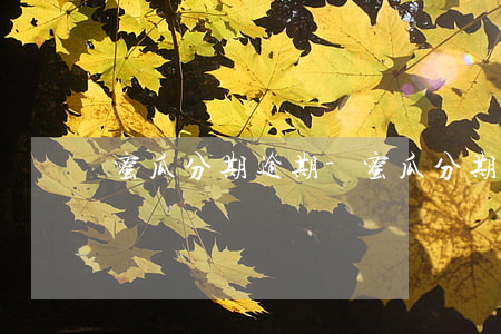 蜜瓜分期逾期-蜜瓜分期逾期 詐騙短信