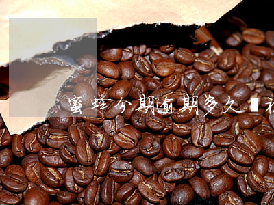 蜜蜂分期逾期多久會被起訴