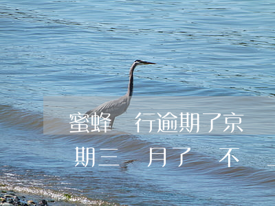 蜜蜂銀行逾期了京東會上征信嗎 京東金融逾期三個月了,會不會上征信