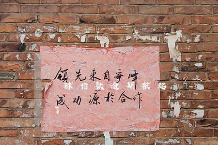 蝦球借款逾期被起訴-蝦球借款是不是倒閉了