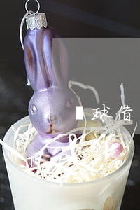 蝦球借錢逾期一天