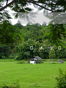蝦球借錢逾期上征信嗎(蝦球借錢逾期上征信嗎)