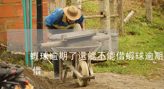 蝦球逾期了還能不能借(蝦球逾期了還能不能借)