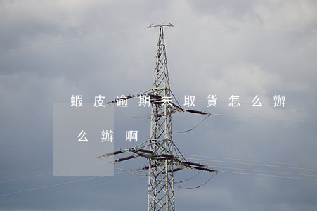 蝦皮逾期未取貨怎么辦-蝦皮逾期未取貨怎么辦啊