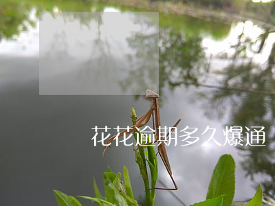 蝦花花逾期多久爆通訊錄 夠花逾期多久爆通訊錄