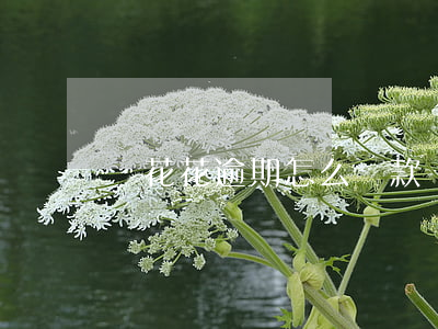 蝦花花逾期怎么還款(蝦花花逾期怎么還款)