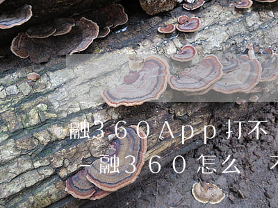 融360App打不開(kāi)怎么還款-融360怎么還不了款怎么辦