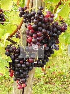 融360app沒(méi)有了怎么還款-