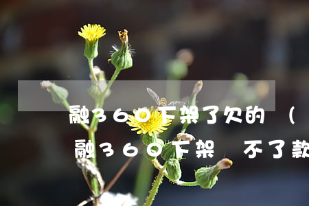 融360下架了欠的錢(qián)怎么辦(融360下架還不了款怎么辦)