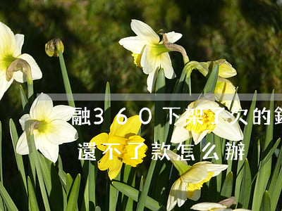 融360下架了欠的錢怎么辦(融360下架還不了款怎么辦)