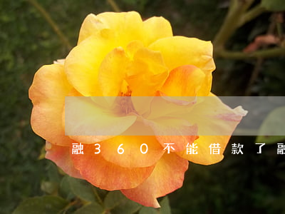 融360不能借款了（融360逾期了还能借）
