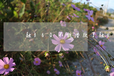 融360不能借款了（融360逾期了還能借）