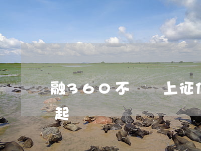 融360不還會上征信嗎?（融360拖欠立案起訴）