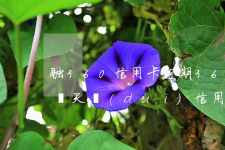 融360信用卡逾期(360信用錢包逾期了幾天對(duì)信用有影響嗎)