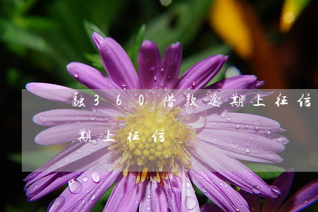 融360借款逾期上征信嗎(融360借款逾期上征信嗎)