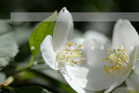 融360多貝逾期上征信嗎-融360查征信可靠嗎