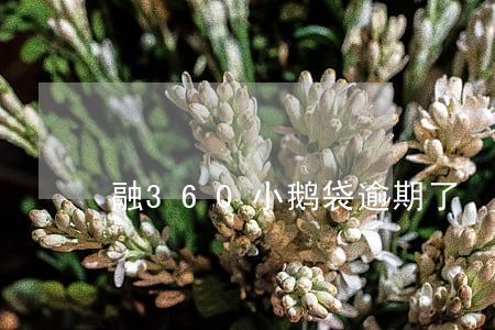 融360小鹅袋逾期了