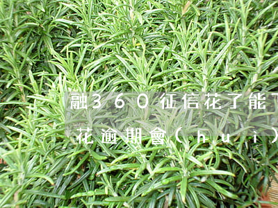 融360征信花了能下款嗎（融360且貸且花逾期會(huì)怎么樣）