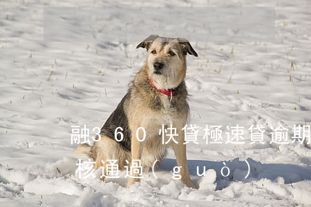 融360快貸極速貸逾期(360貸款多久審核通過(guò))