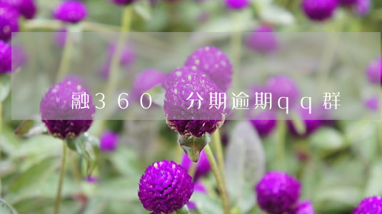 融360愛分期逾期qq群