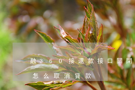 融360接還款接口關閉蛋花花-融360怎么取消貸款