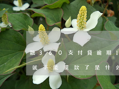 融360支付貸逾期1天(融360逾期一天就不能還款了是什么意思)