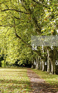 融360會(huì)起訴 融360說(shuō)要起訴你,你不理他會(huì)有事嗎