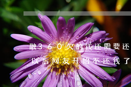 融360欠的钱还需要还吗(融360被曝光以后网友开始不还钱了)
