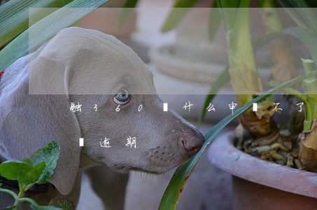 融360為什么申請不了貸款（融360樂寶貸逾期）
