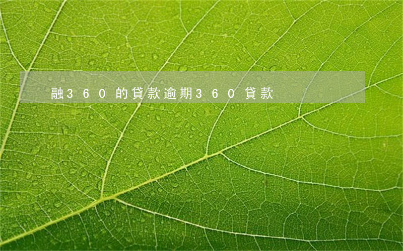 融360的貸款逾期(360貸款)