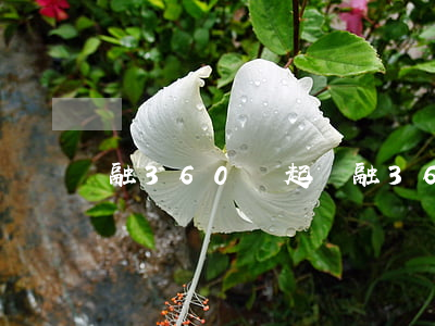 融360說起訴(融360說起訴)