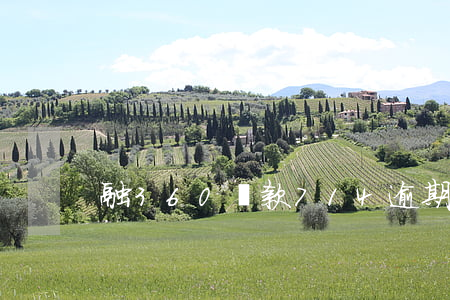 融360貸款714逾期