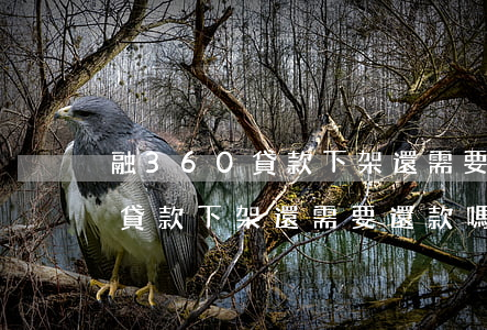 融360貸款下架還需要還款嗎-融360貸款下架還需要還款嗎是真的嗎
