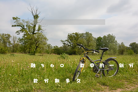 融360貸款中的一刻分期逾期-360貸款分期多久