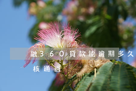 融360貸款能逾期多久(360貸款多久審核通過)